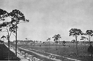 Fellsmere Farms Florida in 1912