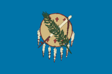 Flag of Oklahoma (1925-1941)