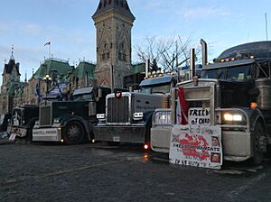 Freedom Convoy 2022 Ottawa January 31-7