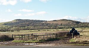 Goldenberry Hill, Hunterston
