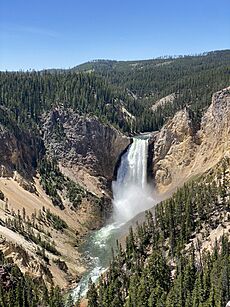 Grand Canyon of yellowstone