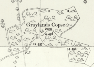 Graylands Copse Map 1914