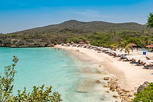 Grote Knip Kenepa Grandi Curacao (36561697451)