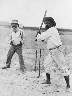 Harryhewitt cricket victorharbor