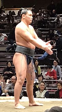 Hoshoryu 2019 Jan