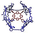 Host Guest Complex Porphyrin Sanders AngewChemIntEdEngl 1995 1096