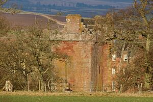 Inverquharity Castle - geograph.org.uk - 1115653