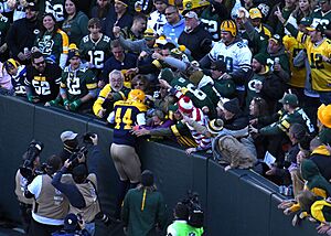 James Stark doing the Lambeau Leap (cropped)