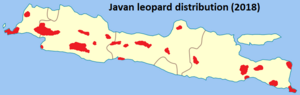 Javan leopard distribution.png