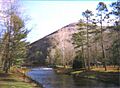 Kettle Creek at Ole Bull State Park