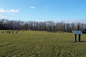 Kinneil Fortlet on the Antonine Wall - geograph.org.uk - 526911