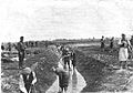 Krychów forced labour camp 1940 (Krowie Bagno)