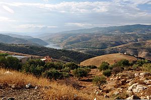Landscape of Jordan.JPG
