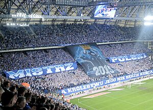 Lech Poznań 2015 Mistrz Polski Stadion 01