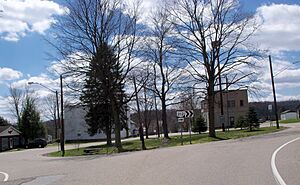 Leesville, Ohio Traffic Circle