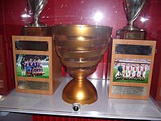 Les Coupes de la Ligue gagnées par le PSG