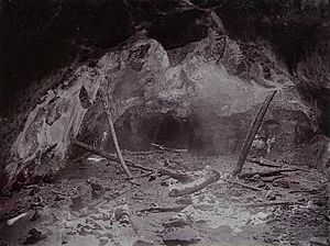 Limestone-ridge caves, Victoria 1905