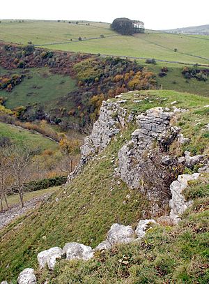 Limestone outcrop above Coombs Dale - geograph.org.uk - 602950