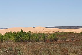 A photo of sand dunes in Little Sahara State Park