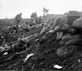 Liverpool Scottish Bellewaarde Farm 16 June 1915 Q 49750