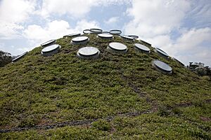 Living roof at the California Academy of Sciences