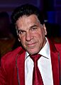 Lou Ferrigno 2018