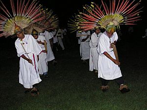 Macheteros