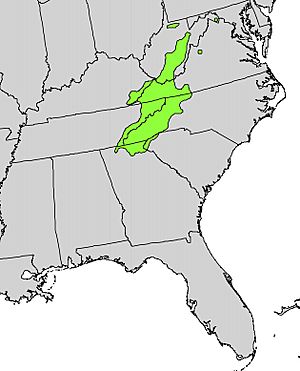 Magnolia fraseri range map.jpg