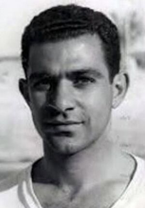 Mahmoud El Gohary (footballer)
