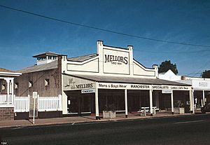 Mellors Drapery and Haberdashery (1994).jpg