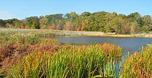 Mentor Marsh Nature Preserve (10355348876)