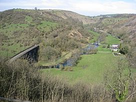 Monsal Head - View of the Viaduct and River Wye - geograph.org.uk - 756604.jpg