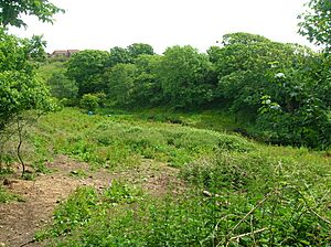 Montfode Castle tower ruins 12