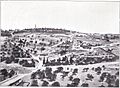 Mount of Olives (before 1899)