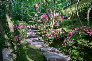 Natural Garden in Portland Japanese Garden.