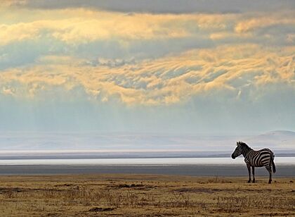 Ngorongoro-Crater-Morning-Scene