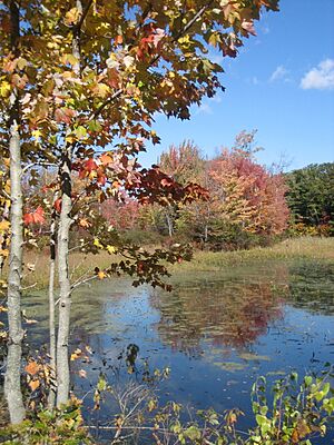 Nine acre Pond