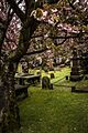 Northern Ireland - St. Columba's Church Long Tower St. Londonderry - 20170416121344