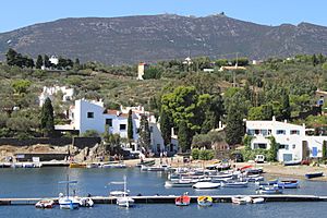 Port Lligat, Cadaqués (Gerona) - panoramio (2)