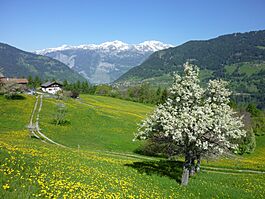 Fields outside Maladers village