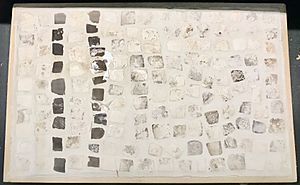 Roman mosaic fragments from Chanctonbury Ring in West Sussex, UK