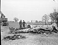 Royal Air Force- Air Defence of Great Britain (adgb), 1943-1944. CH12583