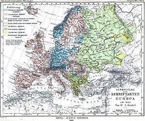Scripts in Europe (1901)