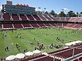 Stanford Stadium field 6