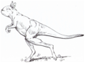 Sthenurus stirlingi