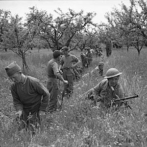 The British Army in Italy 1945 NA24374