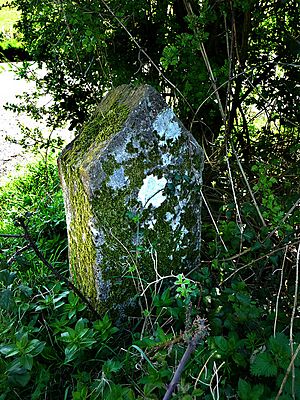 The Murder stone - geograph.org.uk - 1273970