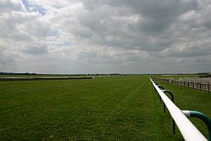 The Rowley Mile, Newmarket Racecourse - geograph.org.uk - 189818.jpg