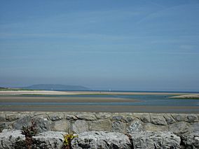 The View from Strand Road Baldoyle - geograph.org.uk - 181928.jpg
