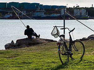 The fisherman's bicycle